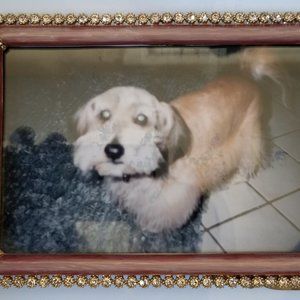 Jay Strongwater: Lorraine – Azalea Enamel Stone Edge 4” x 6” Edge Frame